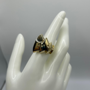Pine ring (Anillo de pino   319