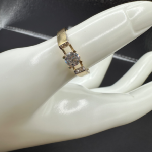 Stone ring (Anillo de piedra )     191
