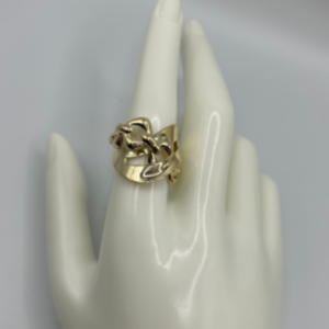 Ring of a chain (Anillo de una cadena   317