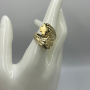 Ring of two crosses (Anillo de dos cruces  )   42