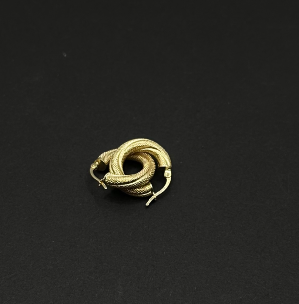 Small snow rings (Argollas nevadas pequeñas)1198