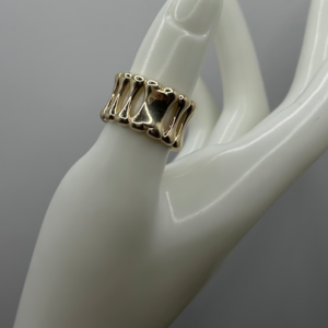 Ring of bones (Anillo de huesos