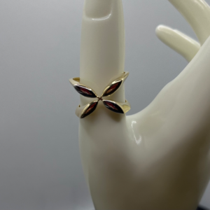 Ring of petals (Anillo de pétalos  174
