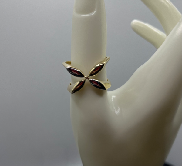 Ring of petals (Anillo de pétalos  174