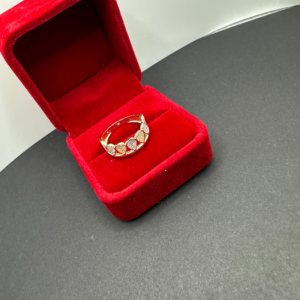 Two-tone ring (Anillo de dos tonos 193