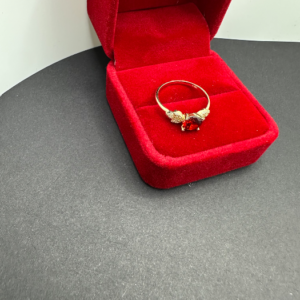 Red ring (Anillo rojo ) 35