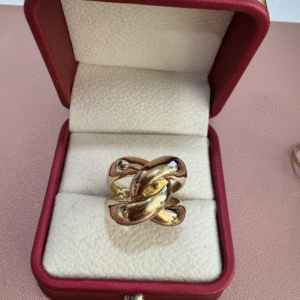 Chain ring (Anillo de cadena )  67