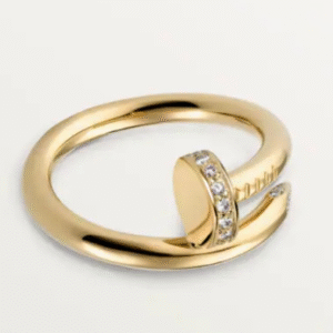 Nail ring  (Anillo de clavo )  289