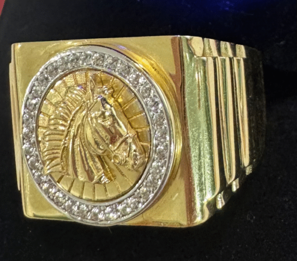 Horse ring (Anillo de caballo)    329
